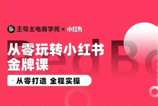 王导主·小红书电商运营实操课，​从零打造  全程实操-骏阁网