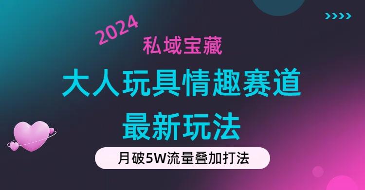 私域宝藏：大人玩具情趣赛道合规新玩法，零投入，私域超高流量成单率高-骏阁网