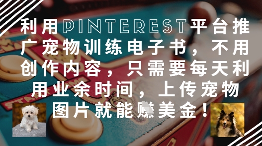 a8b4d583552028c1b4c8c58d36ff7fff.jpeg 利用Pinterest平台推广宠物训练电子书,不用创作内容,只需要每天利用业余时间,上传宠物图片就能挣美金!