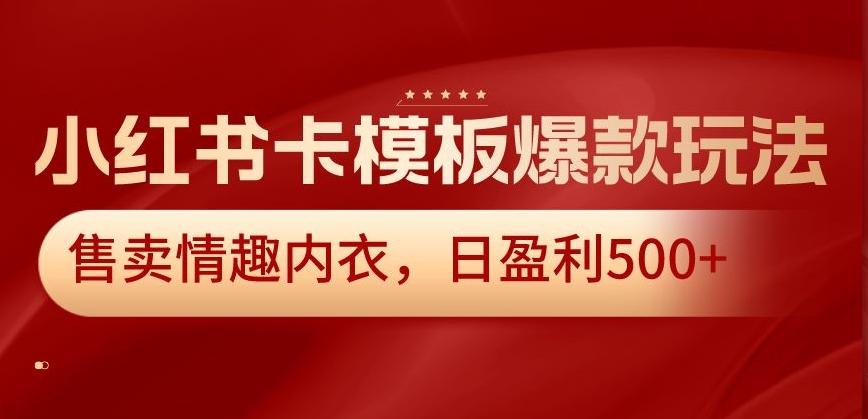 小红书卡模板爆款玩法，售卖情趣内衣，日盈利500+【揭秘】-骏阁网