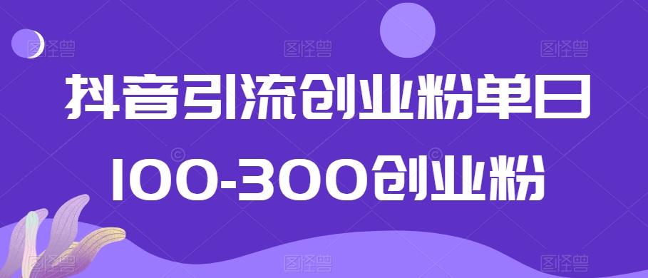 抖音引流创业粉单日100-300创业粉【揭秘】-骏阁网