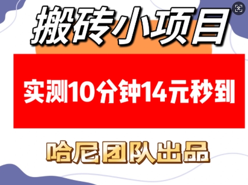 搬砖小项目，实测10分钟14元秒到，每天稳定几张(赠送必看稳定)-骏阁网