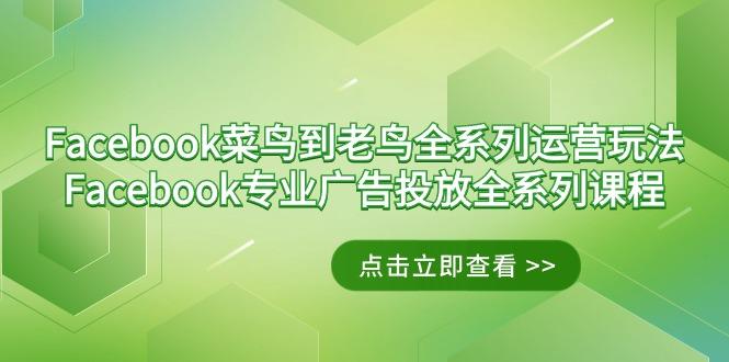 b09b63095563855dc76dd5a6192ee217.jpeg Facebook-菜鸟到老鸟全系列运营玩法+Facebook-专业广告投放全系列课程