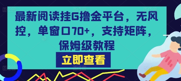 最新阅读挂G撸金平台，无风控，单窗口70+，支持矩阵，保姆级教程【揭秘】-骏阁网