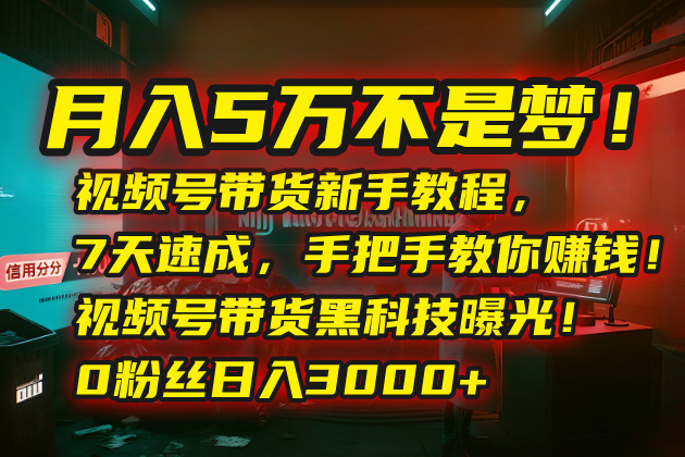 月入5万不是梦！视频号带货新手教程，7天速成，手把手教你赚钱！视频号…-骏阁网