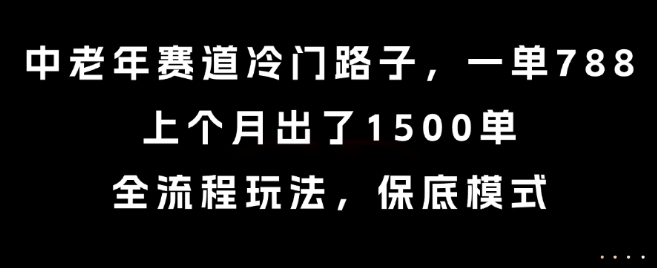 中老年赛道冷门路子，一单788，上个月出了1500单，全流程玩法，保底模式【揭秘】-骏阁网