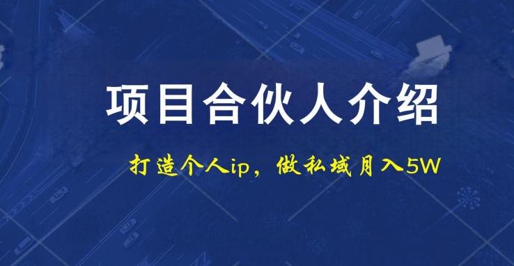项目合伙人项目，打造个人IP，做私域月入5W，小白勿扰-骏阁网