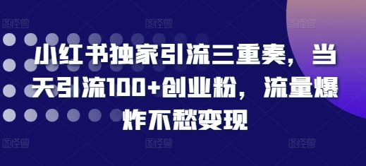 小红书独家引流三重奏，当天引流100+创业粉，流量爆炸不愁变现【揭秘】-骏阁网