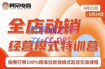 阿呆电商·全店动销经营模式特训营(线下录音+思维导图)-骏阁网