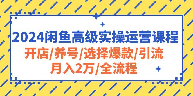 2024闲鱼高级实操运营课程：开店/养号/选择爆款/引流/月入2万/全流程-骏阁网