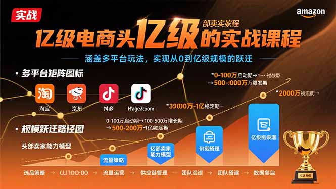 亿级电商头部卖家的实战课程：涵盖多平台玩法，实现从0到亿级规模的跃迁-骏阁网