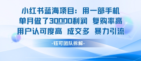 小红书蓝海项目，一部手机单月做了3W利润，小白也能月入过1W用户认可度高成交多-骏阁网