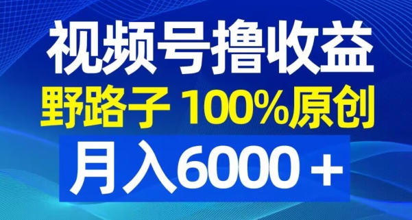 视频号野路子撸收益，100%原创，条条爆款，月入6000＋【揭秘】-骏阁网