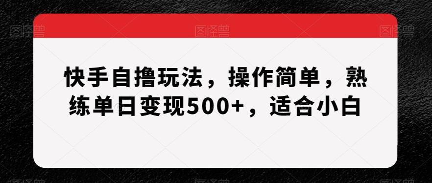 快手自撸玩法，操作简单，熟练单日变现500+，适合小白【揭秘】-骏阁网