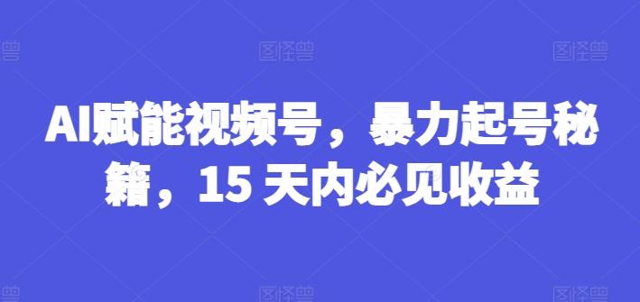 AI赋能视频号，暴力起号秘籍，15 天内必见收益【揭秘】-骏阁网