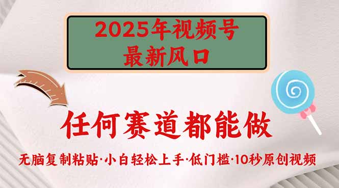 2025年视频号新风口，低门槛只需要无脑执行-骏阁网