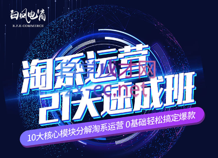 淘系运营21天速成班(更新24年5月)-骏阁网