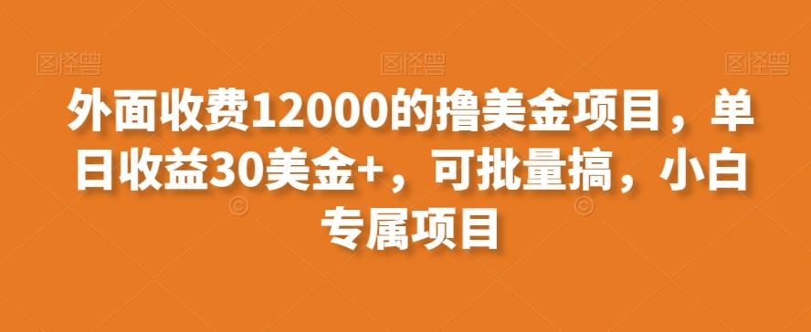 外面收费12000的撸美金项目，单日收益30美金+，可批量搞，小白专属项目-骏阁网