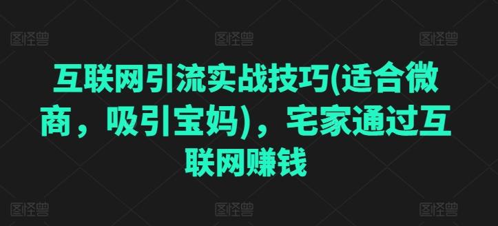 互联网引流实战技巧(适合微商，吸引宝妈)，宅家通过互联网赚钱-骏阁网