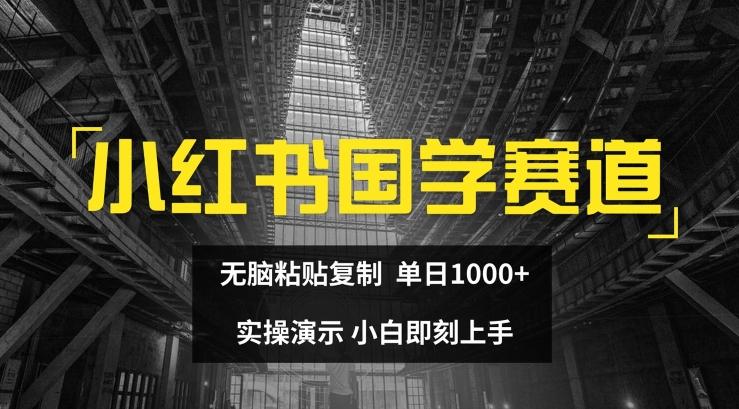 小红书国学赛道，无脑粘贴复制，单日1K，实操演示，小白即刻上手【揭秘】-骏阁网
