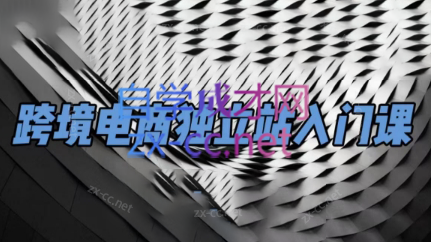 团长·跨境电商独立站入门课(2小时精华)-骏阁网