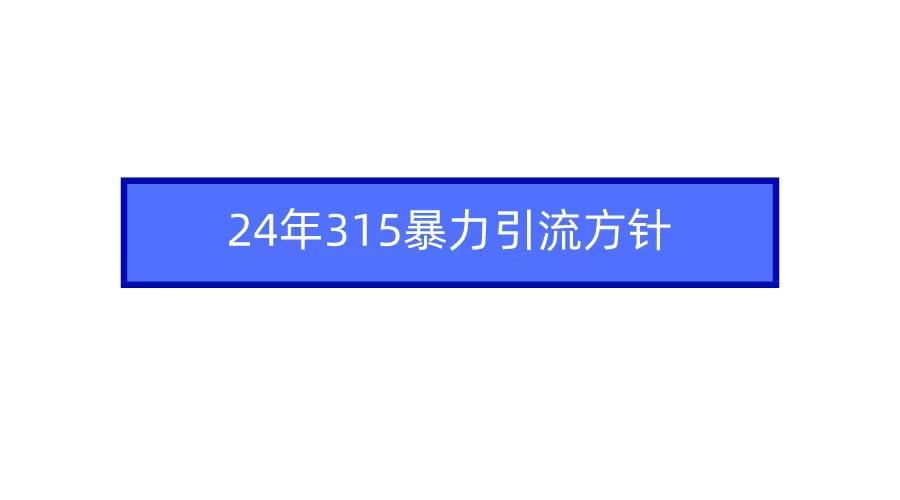 (9398期)2024年315暴力引流方针-骏阁网
