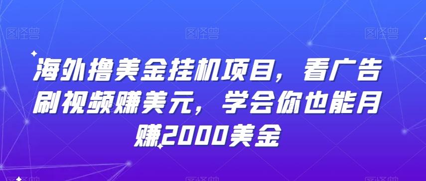 海外撸美金挂机项目，看广告刷视频赚美元，学会你也能月赚2000美金-骏阁网