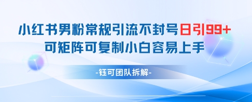 小红书男粉常规引流不封号日引99+变现简单 可矩阵可复制小白容易上手-骏阁网