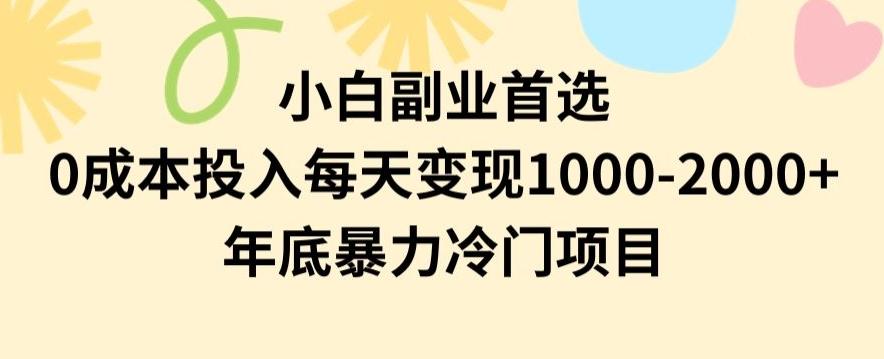 小白副业首选，0成本投入，每天变现1000-2000年底暴力冷门项目【揭秘】-骏阁网