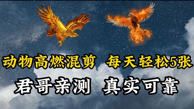 动物超燃混剪，每天轻松5张，剪辑简单大家爱看【揭秘】-骏阁网