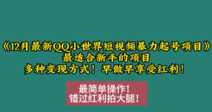 12月最新QQ小世界短视频暴力起号项目，最适合新手的项目，多种变现方式-骏阁网