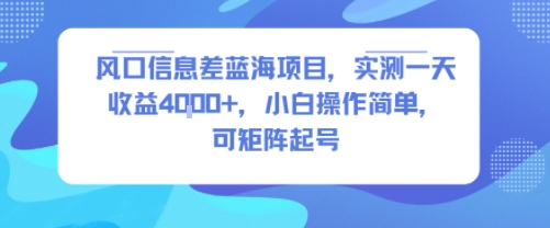 风口信息差蓝海项目，实测一天收益4k+，小白操作简单，可矩阵起号-骏阁网
