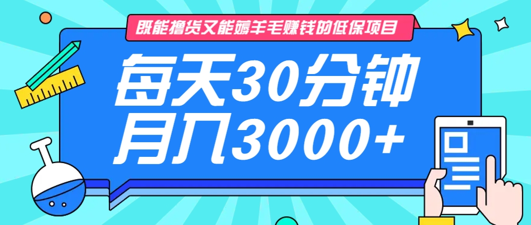 既能撸货又能赚钱的长期低保项目，每天30分钟，多号百分百稳定月入3000+！-骏阁网