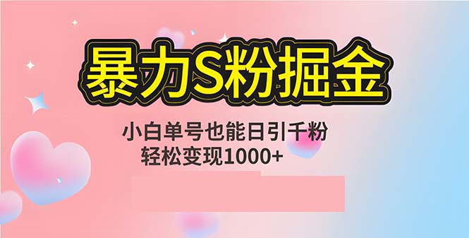 单人单机日引千粉，变现1000+，S粉流量掘金计划攻略-骏阁网