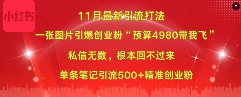 小红书11月最新图片打粉，一张图片引爆创业粉，“预算4980带我飞”，单条引流500+精准创业粉-骏阁网