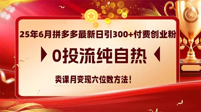 25年6月拼多多最新日引300+付费创业粉，0投流纯自热 卖课月变现六位数方法-骏阁网