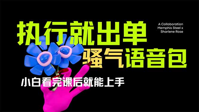 爆火全网的开车导航骚气语音包,只要执行就出单，小白看完课程就能实操…-骏阁网