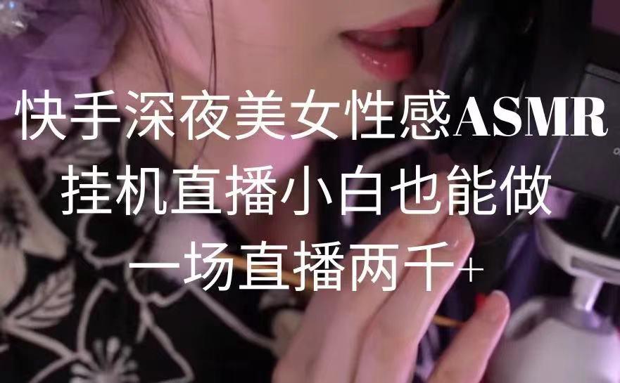 快手深夜美女性感ASMR挂机直播，小白也能做，一场直播两千+-骏阁网