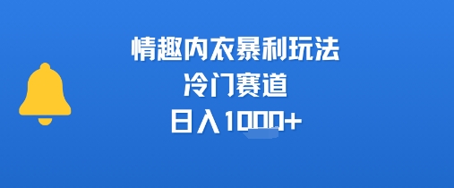 情趣内衣暴利玩法，冷门赛道，日入1k+-骏阁网