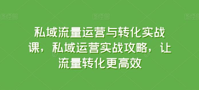 私域流量运营与转化实战课，私域运营实战攻略，让流量转化更高效-骏阁网