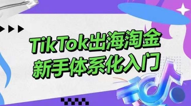 TikTok出海淘金，新手体系化入门，零基础快速入门，掌握短视频、直播带货等引流到变现的知识-骏阁网