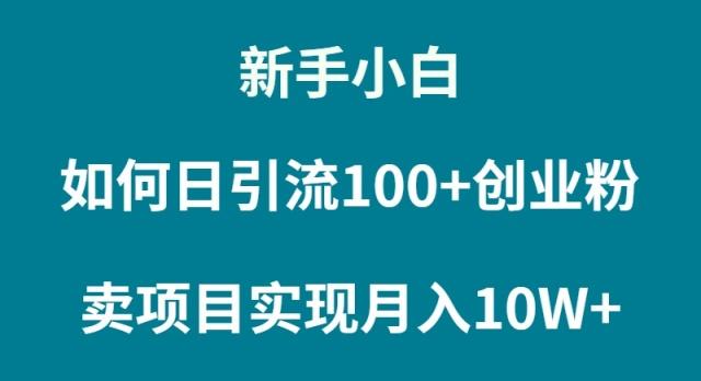 (9556期)新手小白如何通过卖项目实现月入10W+-骏阁网