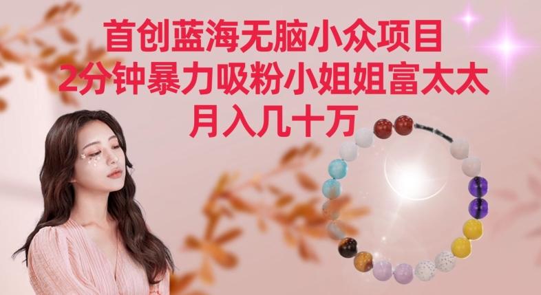 首创蓝海无脑小众项目，2分钟暴力吸粉小姐姐富太太，月入几十万【揭秘】-骏阁网