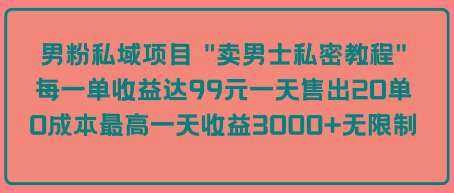 (9730期)男粉私域项目 “卖男士私密教程” 每一单收益达99元一天售出20单-骏阁网
