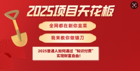 2025项目天花板普通人如何通过知识付费，实现财F自由【揭秘】-骏阁网